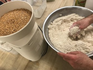 Freshly milled flour and wheat berries in a Mockmill